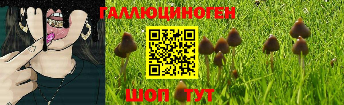 Псилоцибиновые грибы MAGIC MUSHROOMS Аша