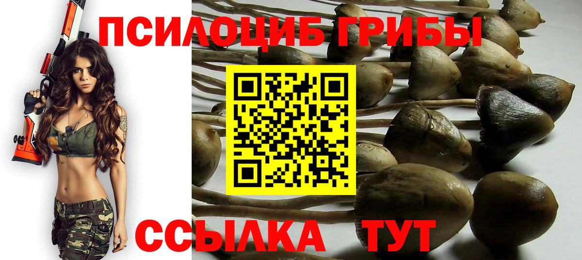 Аша  Псилоцибиновые грибы мицелий  Псилоцибиновые грибы мухоморы  Вход с VPN 